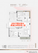 同楼层下单价较东边户超出跨越2600-100/㎡